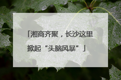 湘商齐聚，长沙这里掀起“头脑风暴”