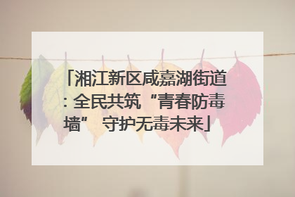 湘江新区咸嘉湖街道：全民共筑“青春防毒墙” 守护无毒未来