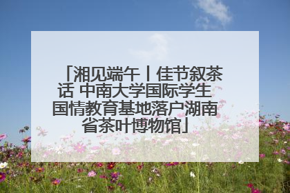湘见端午丨佳节叙茶话 中南大学国际学生国情教育基地落户湖南省茶叶博物馆