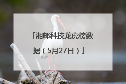 湘邮科技龙虎榜数据（5月27日）