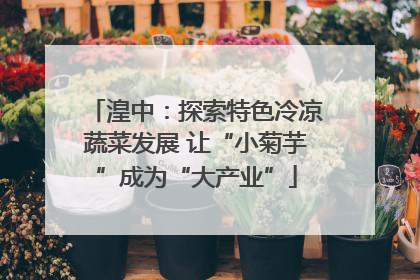 湟中：探索特色冷凉蔬菜发展 让“小菊芋”成为“大产业”