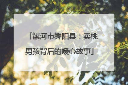 漯河市舞阳县：卖桃男孩背后的暖心故事