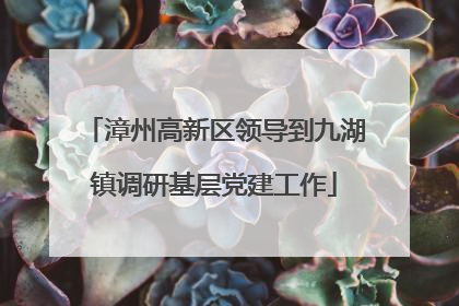 漳州高新区领导到九湖镇调研基层党建工作