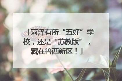 菏泽有所“五好”学校，还是“苏教版”，藏在鲁西新区！