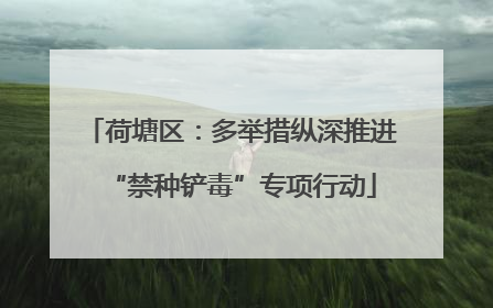 荷塘区：多举措纵深推进“禁种铲毒”专项行动