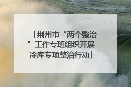 荆州市“两个整治”工作专班组织开展冷库专项整治行动