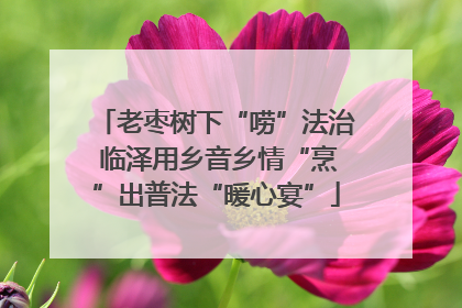 老枣树下“唠”法治 临泽用乡音乡情“烹”出普法“暖心宴”