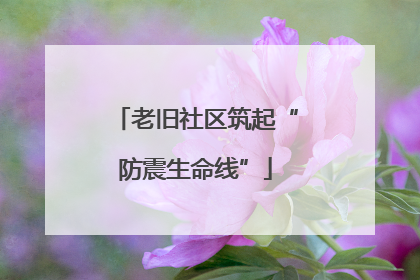 老旧社区筑起“防震生命线”