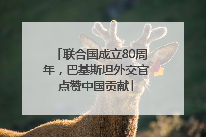 联合国成立80周年，巴基斯坦外交官点赞中国贡献