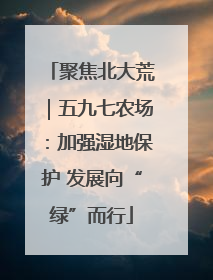 聚焦北大荒｜五九七农场：加强湿地保护 发展向“绿”而行
