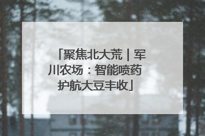 聚焦北大荒｜军川农场：智能喷药护航大豆丰收