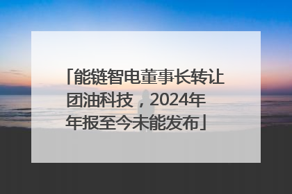 能链智电董事长转让团油科技，2024年年报至今未能发布