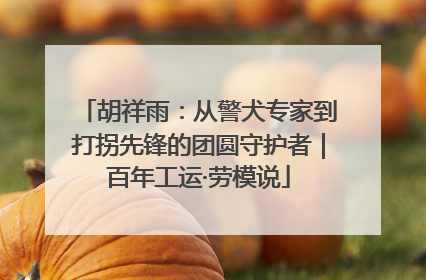 胡祥雨：从警犬专家到打拐先锋的团圆守护者｜百年工运·劳模说