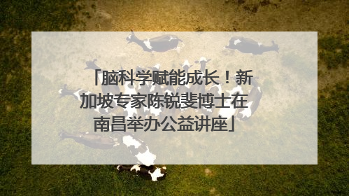 脑科学赋能成长！新加坡专家陈锐斐博士在南昌举办公益讲座