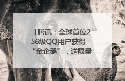 腾讯：全球首位256级QQ用户获得“金企鹅”，送限量版神秘惊喜等礼物