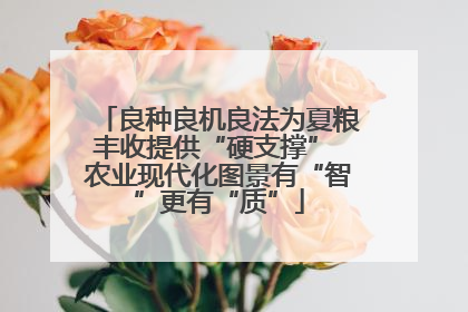 良种良机良法为夏粮丰收提供“硬支撑” 农业现代化图景有“智”更有“质”