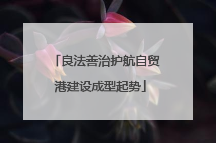 良法善治护航自贸港建设成型起势