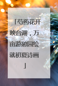 芍药花开映台湖，万亩游憩园绘就初夏诗画