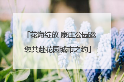 花海绽放 康庄公园邀您共赴花园城市之约