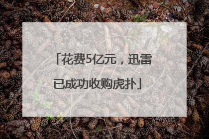 花费5亿元，迅雷已成功收购虎扑