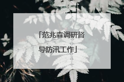 范兆森调研督导防汛工作