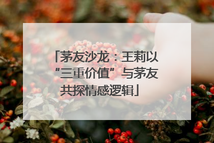 茅友沙龙：王莉以“三重价值”与茅友共探情感逻辑