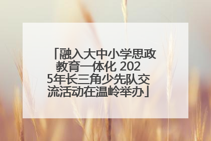 融入大中小学思政教育一体化 2025年长三角少先队交流活动在温岭举办