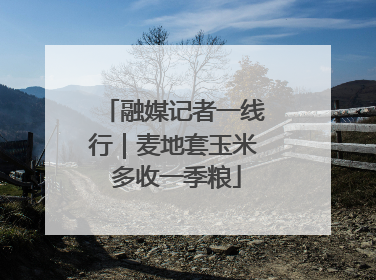 融媒记者一线行｜麦地套玉米 多收一季粮