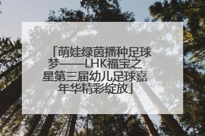 萌娃绿茵播种足球梦——LHK福宝之星第三届幼儿足球嘉年华精彩绽放