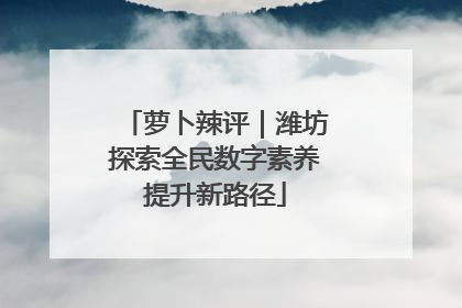 萝卜辣评｜潍坊探索全民数字素养提升新路径