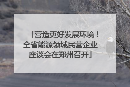 营造更好发展环境！全省能源领域民营企业座谈会在郑州召开