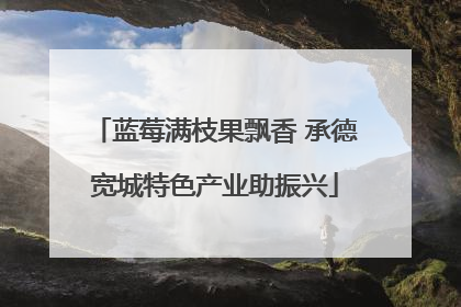 蓝莓满枝果飘香 承德宽城特色产业助振兴