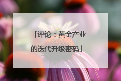 评论：黄金产业的迭代升级密码