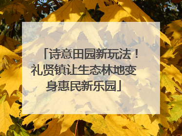诗意田园新玩法！礼贤镇让生态林地变身惠民新乐园