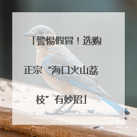 警惕假冒！选购正宗“海口火山荔枝”有妙招