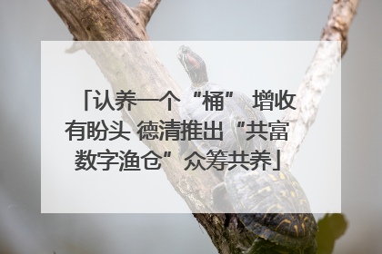 认养一个“桶” 增收有盼头 德清推出“共富数字渔仓”众筹共养