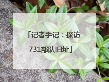 记者手记：探访731部队旧址