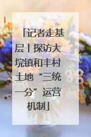 记者走基层丨探访大垸镇和丰村土地“三统一分”运营机制