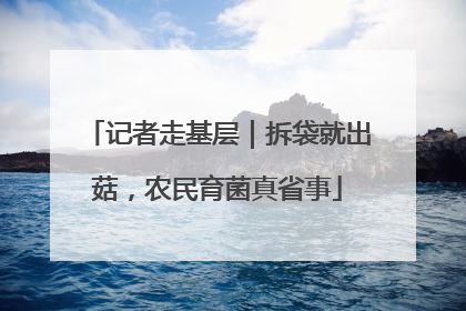 记者走基层｜拆袋就出菇，农民育菌真省事