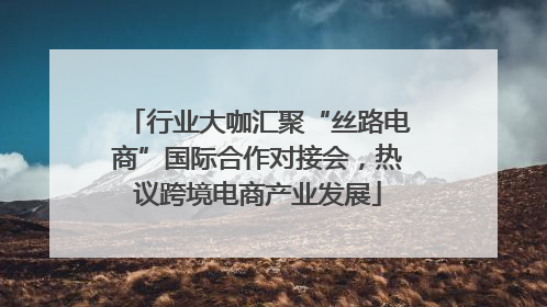 行业大咖汇聚“丝路电商”国际合作对接会，热议跨境电商产业发展