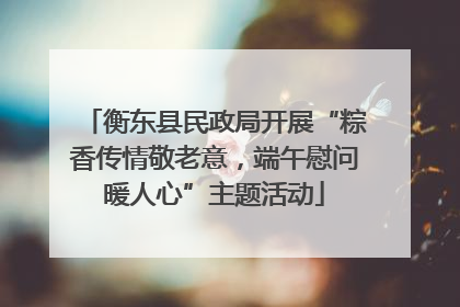 衡东县民政局开展“粽香传情敬老意，端午慰问暖人心”主题活动