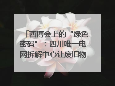 西博会上的“绿色密码”：四川唯一电网拆解中心让废旧物资“重生”｜西博寻“新”记