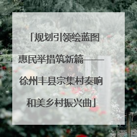 规划引领绘蓝图 惠民举措筑新篇——徐州丰县宗集村奏响和美乡村振兴曲
