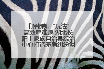 解锁新“玩法” 高效解难题 湖北长阳土家族自治县综治中心打造矛盾纠纷调处“终点站”