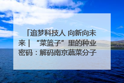 追梦科技人 向新向未来｜“菜篮子”里的种业密码：解码南京蔬菜分子育种的创新之路