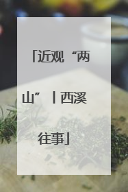 近观“两山”丨西溪往事