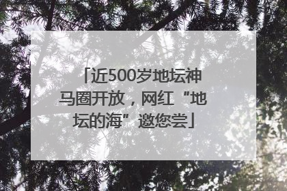 近500岁地坛神马圈开放，网红“地坛的海”邀您尝