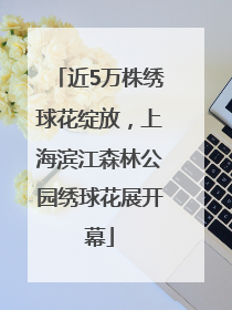 近5万株绣球花绽放，上海滨江森林公园绣球花展开幕