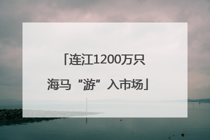 连江1200万只海马“游”入市场