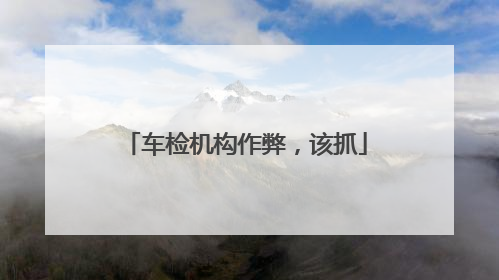 车检机构作弊，该抓